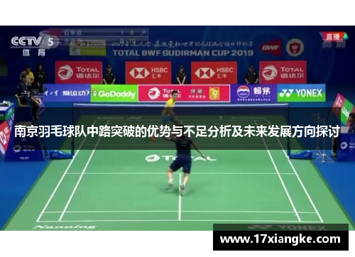 南京羽毛球队中路突破的优势与不足分析及未来发展方向探讨
