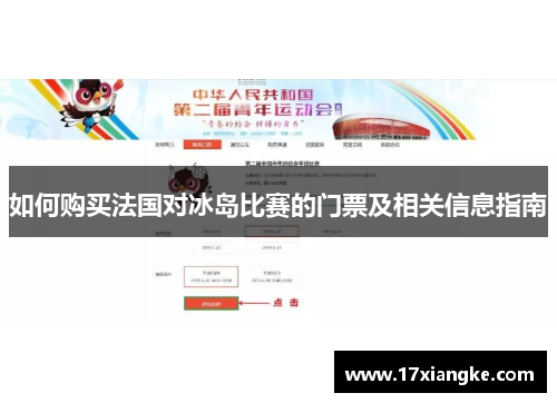 如何购买法国对冰岛比赛的门票及相关信息指南