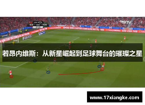 若昂内维斯：从新星崛起到足球舞台的璀璨之星